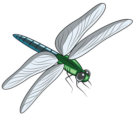 dragonfly cartoon images|cartoon dragonfly clip art.